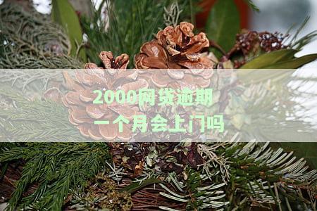 网贷2000逾期一个月利息多少，网贷2000元逾期一个月，利息究竟要支付多少？