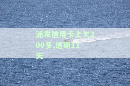 浦发银行信用卡20万逾期一年将通过法律程序追讨，欠款6个月、3个月会坐牢吗？