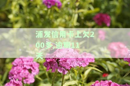 浦发信用卡上欠200多,逾期11天-浦发信用卡上欠200多,逾期11天怎么办