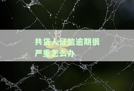 共贷人征信逾期很严重怎么办理，如何处理共贷人征信逾期问题？
