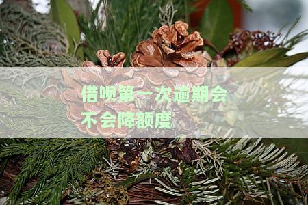 借呗第一次逾期会不会降额度