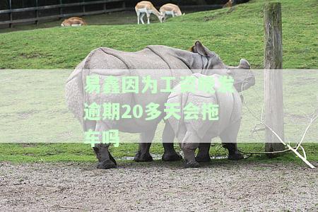 易鑫因工资晚发逾期20多天会拖车吗？真实情况如何？