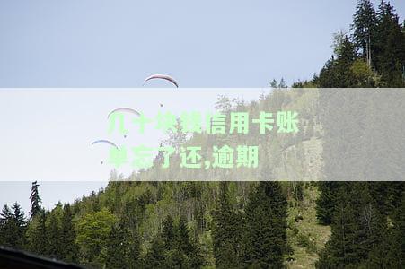 几十块钱信用卡账单忘了还,逾期了，疏忽大意！忘记还款导致信用卡账单逾期，金额仅几十元