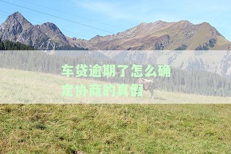 车贷逾期如何协商分期还款？方法与步骤详解
