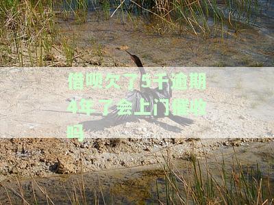 借呗欠了5千逾期4年了会上门催收吗，借呗欠款5千逾期4年，是否会有人上门催收？