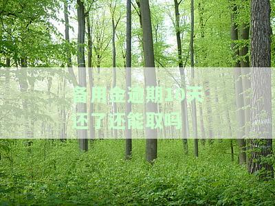 备用金逾期十天未还会影响信用吗？