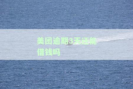 美团逾期3天还了一部分，能否再次借款？已逾期2/4天，影响下次借款吗？