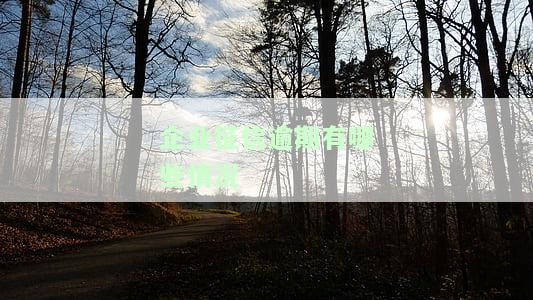 企业征信逾期哪些情况会导致贷款被拒？影响购房、购车吗？