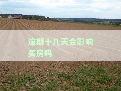 逾期了10多天可以买房不，逾期10多天是否还能成功购买房产？