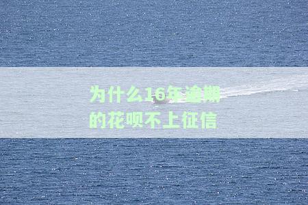 为什么16年逾期的花呗不上征信记录？对信誉有何影响？