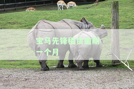 宝马先锋租赁逾期一个月会产生什么后果？