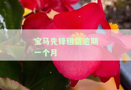 宝马先锋租赁逾期处理方法及放款时间