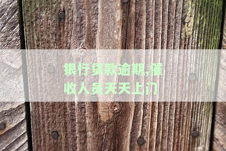 应对银行催收频繁上门：如何投诉与处理？