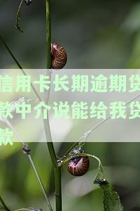 找中介办的信用卡未还被法院起诉，应如何应对？