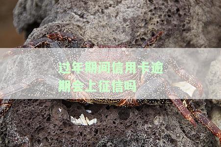 过年的时候信用卡可以正常消费还款吗，春节期间，信用卡使用和还款需要注意什么？