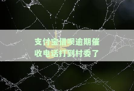 支付宝借呗逾期催收电话打到村委了-支付宝借呗逾期催收电话打到村委了是真的吗