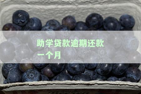 助学贷款逾期还款一个月会有什么后果？逾期多久能消除记录？