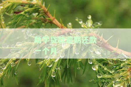 助学贷款逾期一个月如何消除记录及影响？