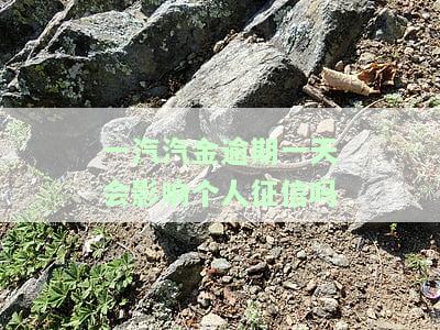 一汽金融逾期,要求全额还款合法吗，探讨一汽金融逾期全额还款的合法性