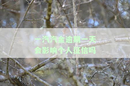 一汽汽金逾期一天会影响个人征信吗-一汽大众24小时服务热线