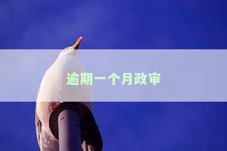 逾期一个月政审-逾期一个月政审能过吗