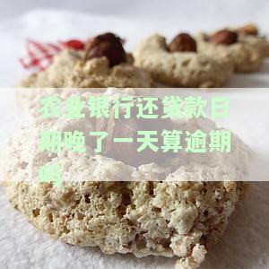 中国农业银行还贷款晚一天，如何处理？