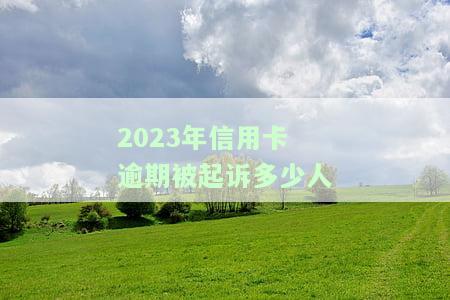 21年信用卡逾期，警示：警惕21年信用卡逾期风险，避免个人信用受损！