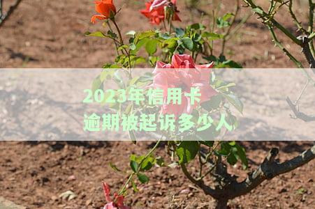 2023年信用卡逾期被起诉多少人-2023年信用卡逾期被起诉多少人会被拘留