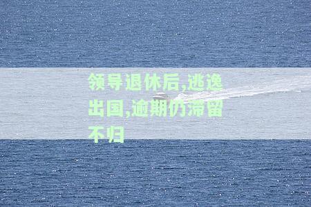 领导干部退休可否出国？相关政策及限制解读