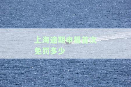 上海逾期申报首次免罚多少-上海逾期申报首次免罚多少钱