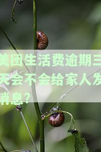 美团生活费逾期第三天：会打电话给本人还是机器人？同时，是否会通知家人或联系通讯录？
