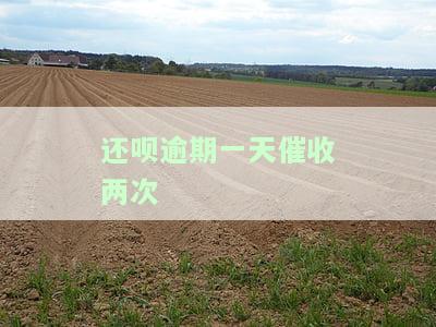 还呗逾期一天催收两次-还呗逾期一天催收两次会怎么样