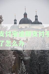 支付宝逾期无法支付，重要提醒：支付宝逾期将影响支付功能，请及时还款！