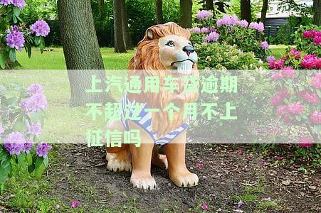 上汽通用车贷逾期不超过一个月不上征信吗