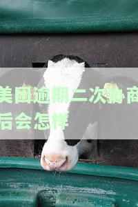 美团逾期协商方案是哪几种，深入了解美团逾期协商方案，避免还款困境