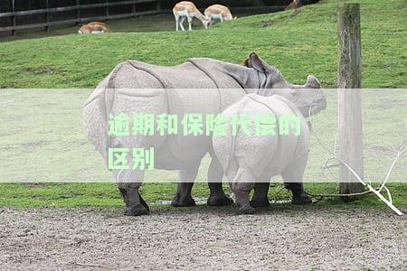 逾期和保险代偿的区别在哪，理解逾期与保险代偿的区别