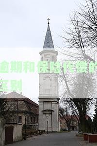 贷款逾期保险代偿是什么意思，解析贷款逾期保险代偿：保障你免受经济损失