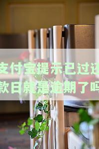支付宝过了还款日还能还款吗？安全吗？