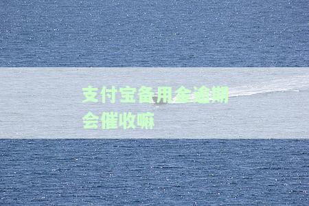 支付宝备用金逾期会催收嘛