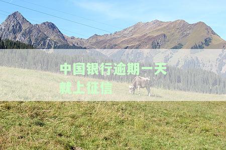 中国银行贷款逾期一天会影响信用吗，中国银行贷款逾期一天会对信用产生影响吗？