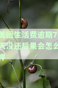 美团生活费逾期7天没还后果会怎么样-美团生活费逾期7天没还后果会怎么样呢