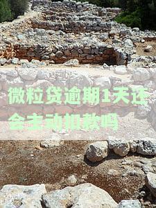 微粒贷逾期1天还会主动扣款吗-微粒贷逾期1天还会主动扣款吗为什么