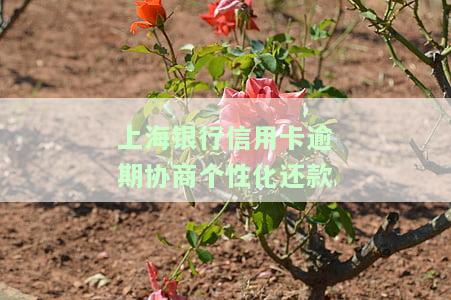 上海银行信用卡逾期协商个性化还款，有影响吗？