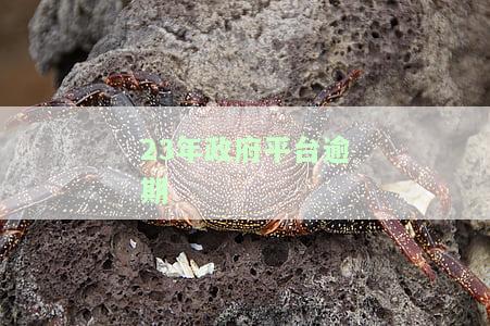 23年政府平台逾期怎么办，2023年：如何处理政府平台逾期问题？