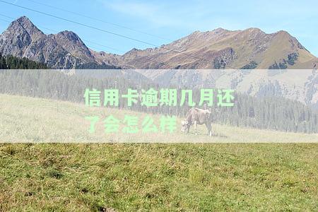 信用卡逾期几月还了会怎么样处理，信用卡逾期几个月还款？影响及解决办法解析