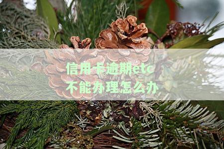 信用卡逾期，etc无法办理？高速公路通行还能行吗？