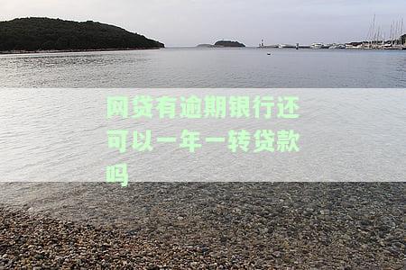 网贷逾期了银行贷款还能续贷吗，网贷逾期后，如何影响你的银行贷款申请？