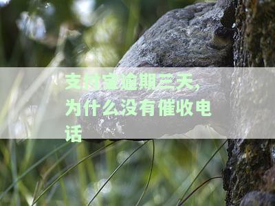 有没有支付宝逾期超过三个月仍未接到催收电话的情况？
