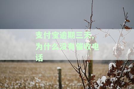 为什么支付宝逾期两年没有打电话催款呢，探究：支付宝逾期两年未进行电话催款的原因是什么？