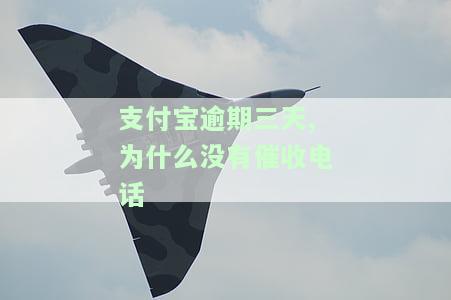 支付宝逾期催收电话为何突然停止？